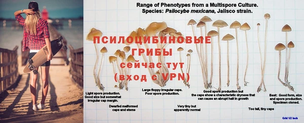 jwh Дмитров